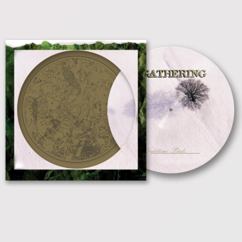 THE GATHERING Nighttime Birds LP PICTURE , PRE-ORDER [VINYL 12"]